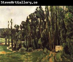 Paul Cezanne Poplar Trees